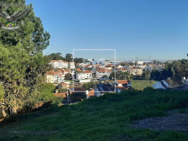 #133 - Área para Venda em Vila Nova de Gaia - Oporto - 3