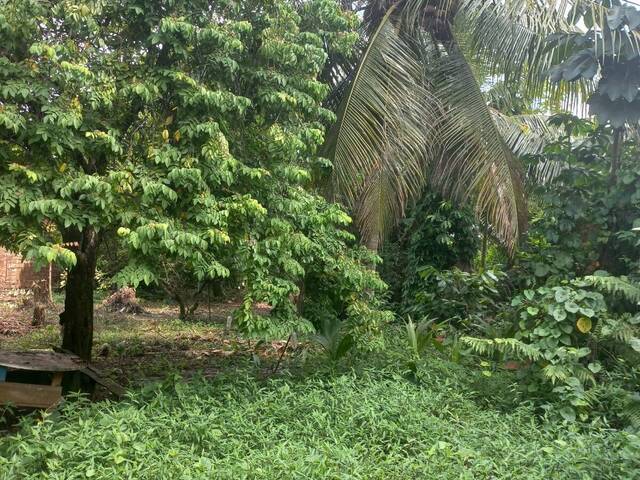 Terreno em condomínio para Venda em Ananindeua - 5