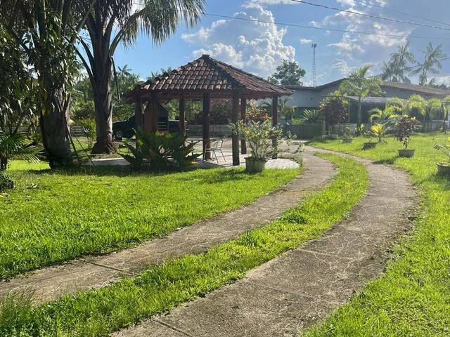 Sítio para Venda em Santa Bárbara do Pará - 1