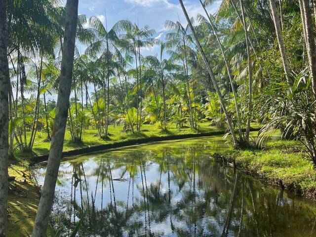 #319 - Sítio para Venda em Santa Bárbara do Pará - PA - 2