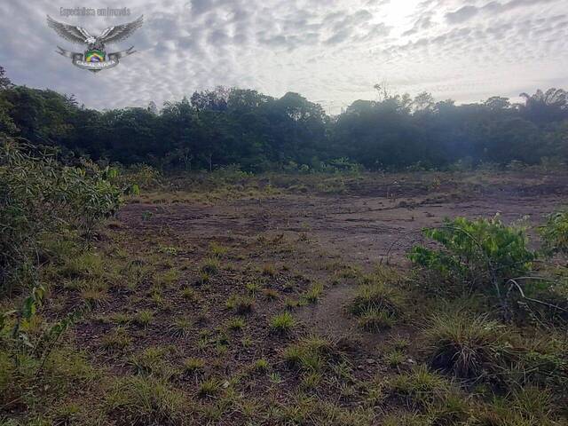 #330 - Fazenda para Venda em Marapanim - PA - 3