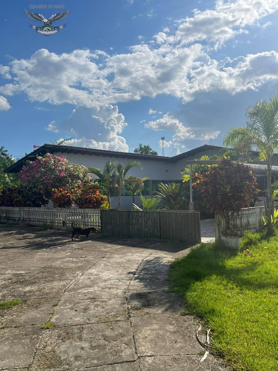 Fazenda à venda com 3 quartos, 300m² - Foto 15