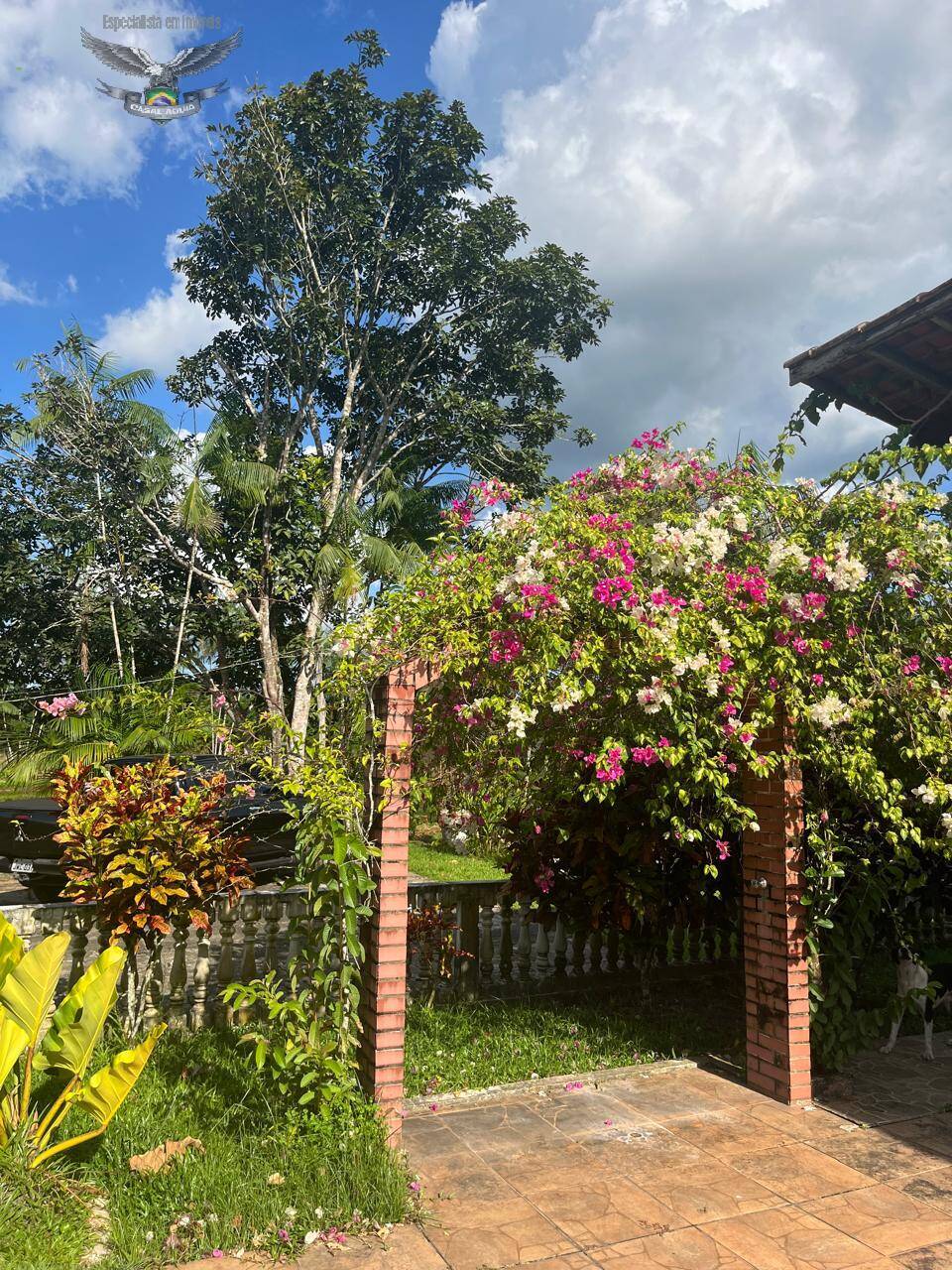 Fazenda à venda com 3 quartos, 300m² - Foto 16