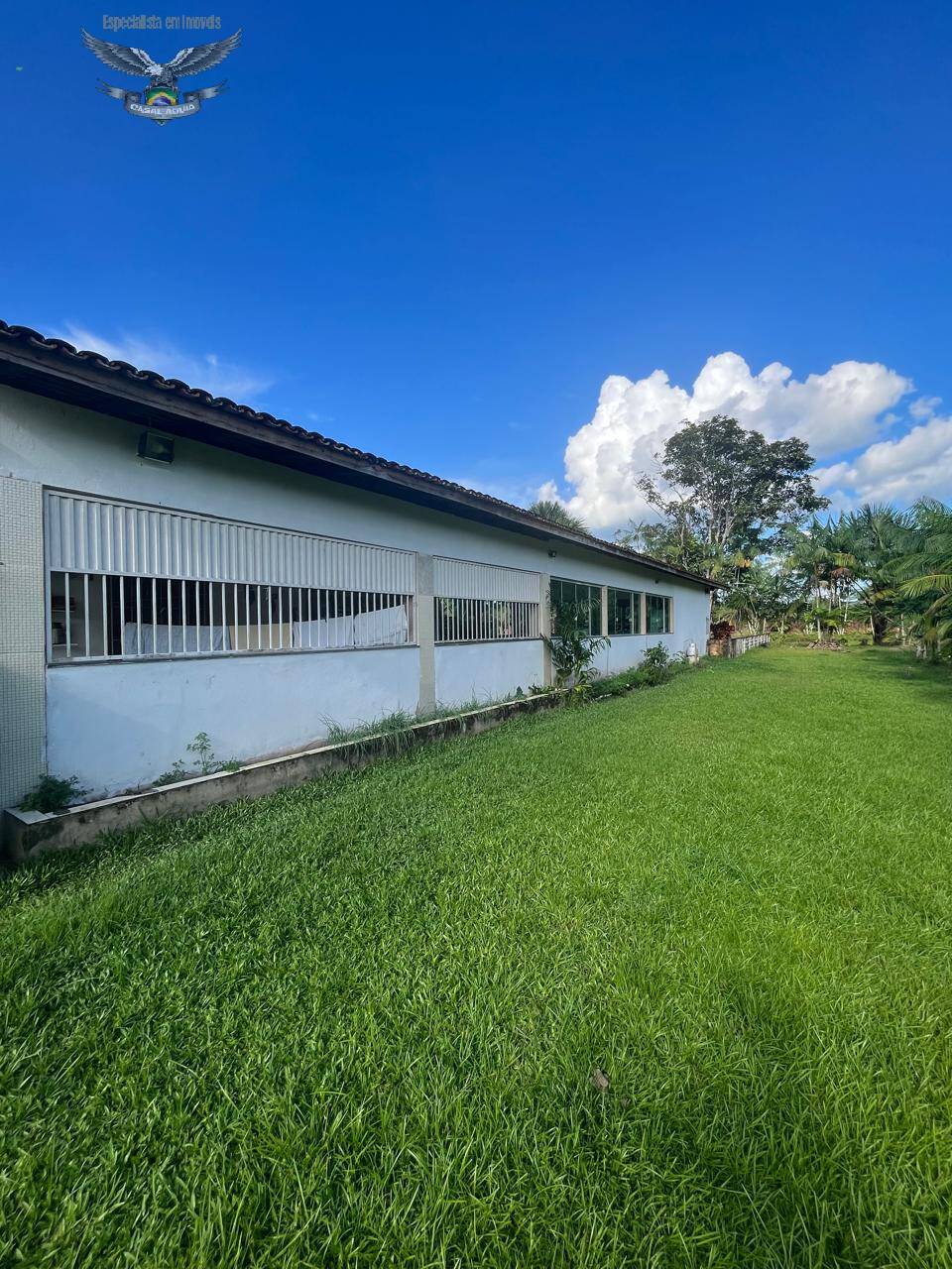 Fazenda à venda com 3 quartos, 300m² - Foto 21