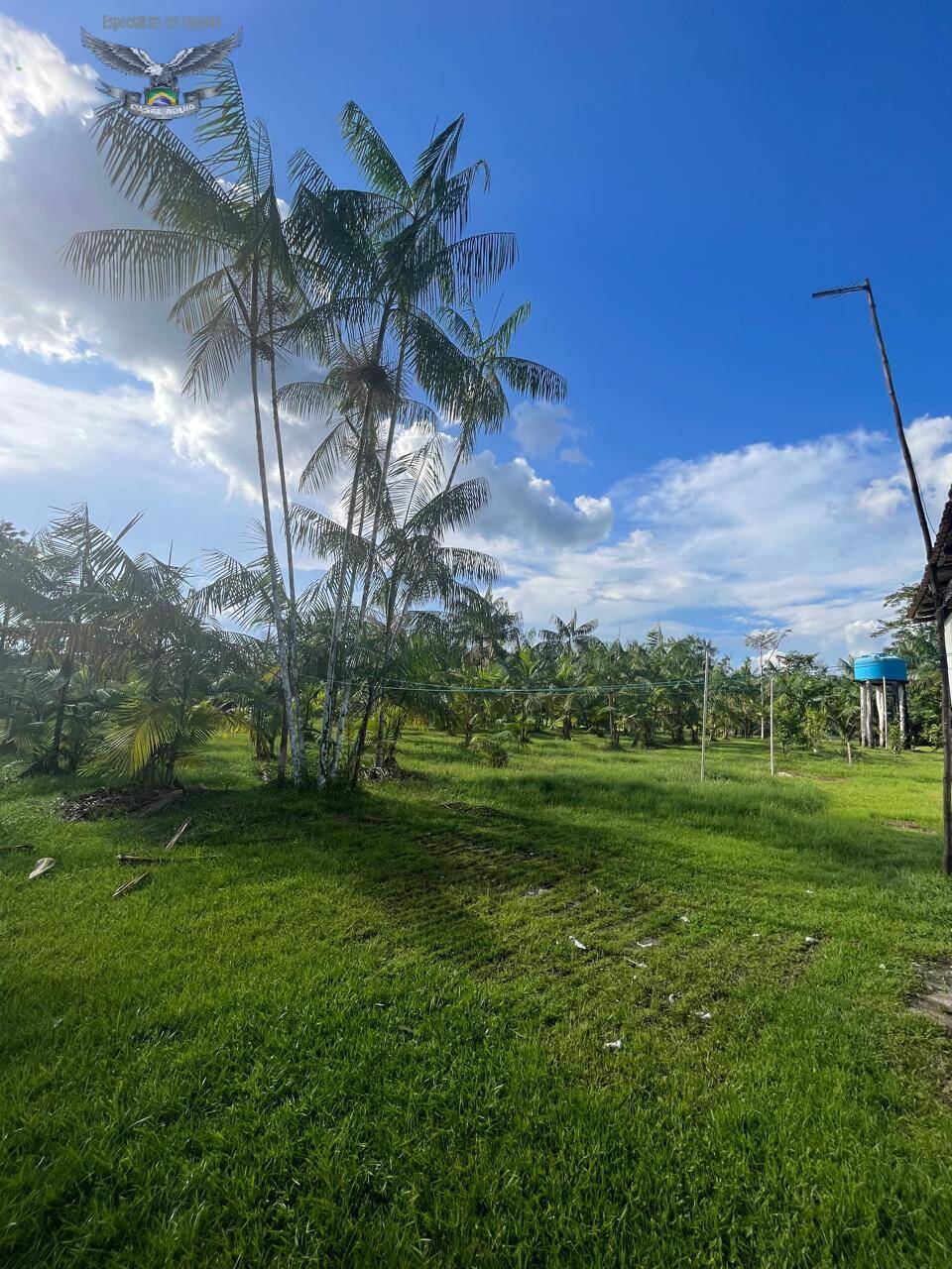 Fazenda à venda com 3 quartos, 300m² - Foto 23