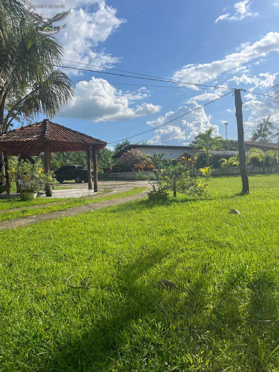 Fazenda à venda com 3 quartos, 300m² - Foto 26