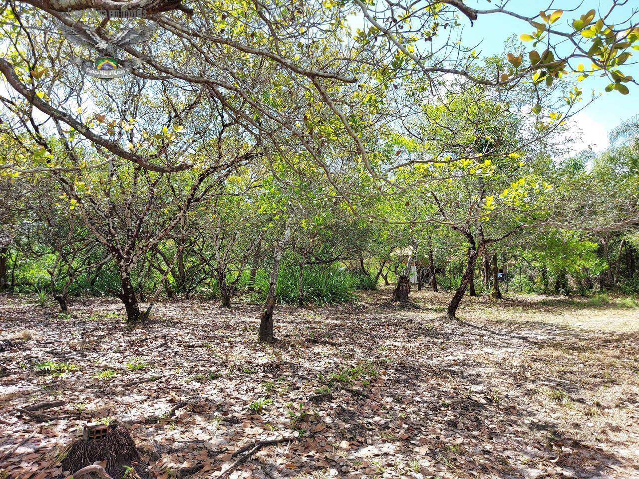 Terreno à venda e aluguel, 300m² - Foto 11