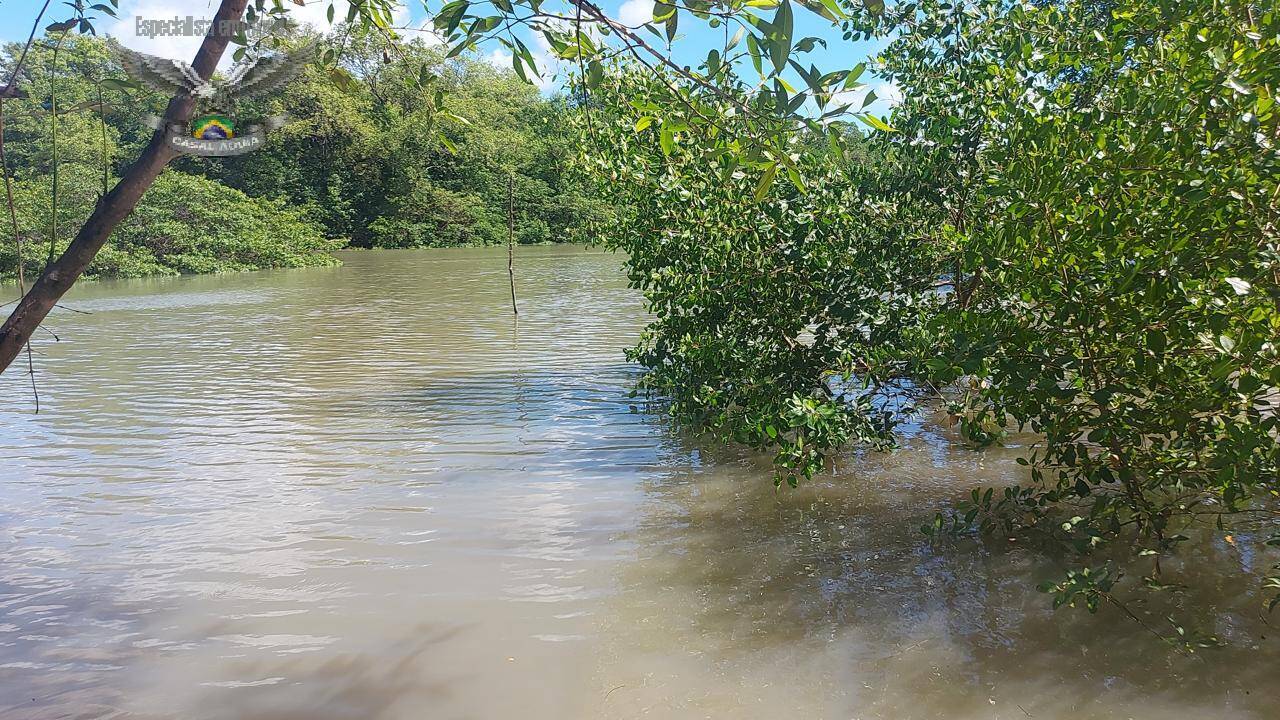 Terreno à venda e aluguel, 300m² - Foto 7