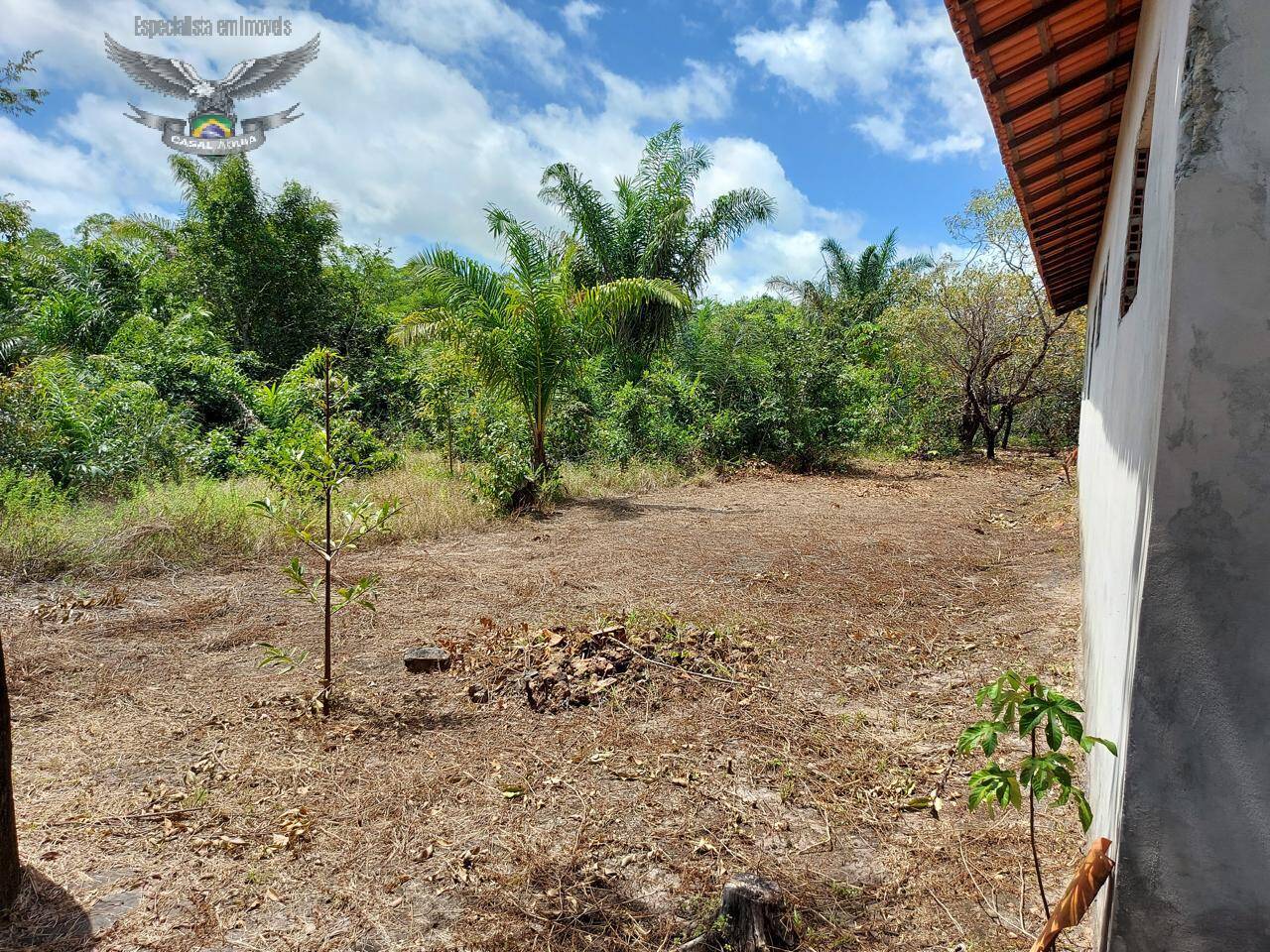 Terreno à venda e aluguel, 300m² - Foto 17