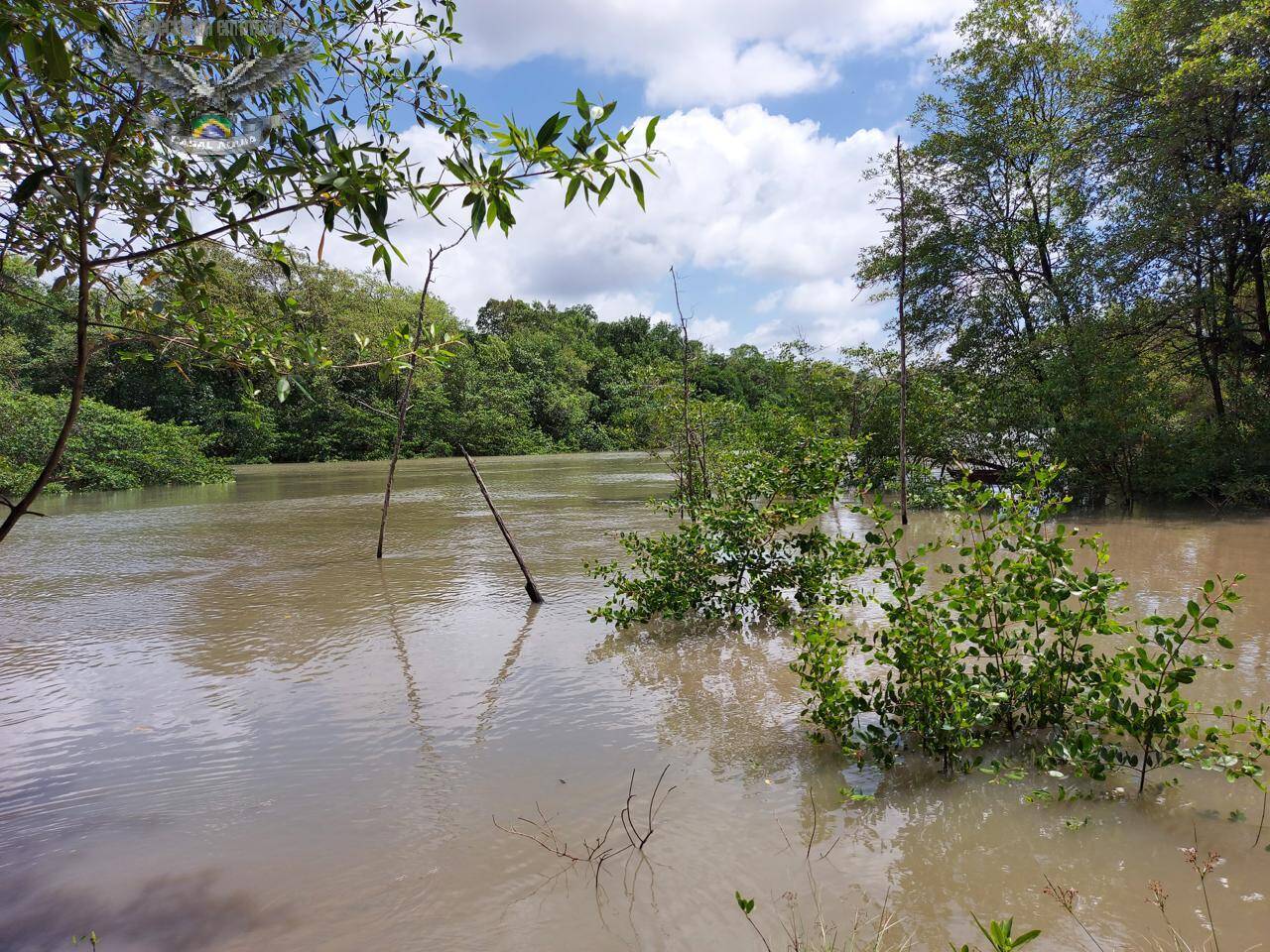 Terreno à venda e aluguel, 300m² - Foto 30